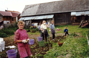 záhrada